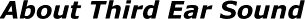 About Third Ear Sound